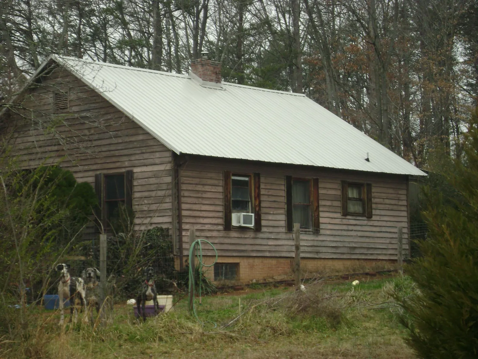White metal roof on an old wood sided farmhouse, from a Asphalt Shingle Roof Repair job in Casco
